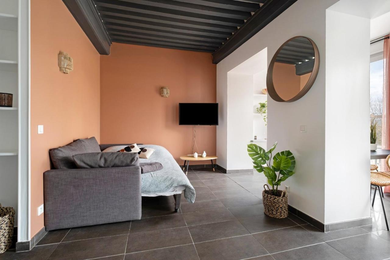 Lyon Cite- Appartement Vue Rhone Terrasse-Caluire Exterior foto